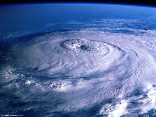 Дмитрий Ерехинский