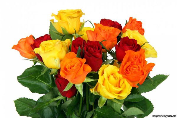 Ва Таучик Тупкараганский Район