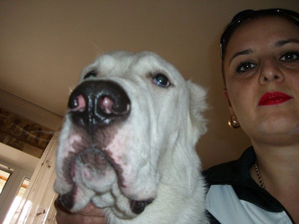 Елена Шнайдер