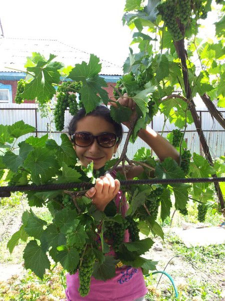 Шарипова Ситора