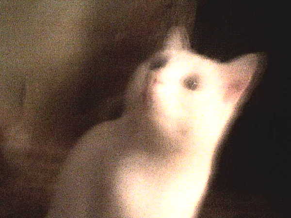 Ирина Лысак