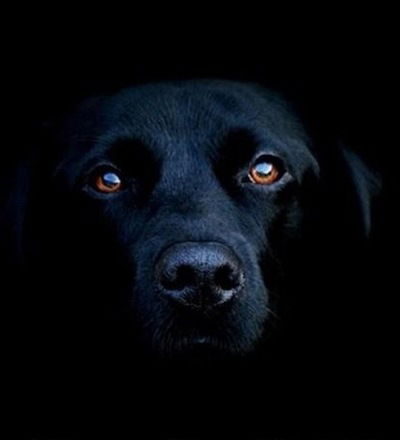 Жека Понамаренко