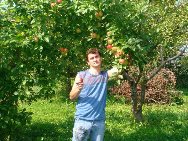 Илья Рыбалов