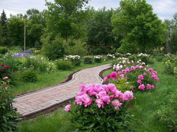 Татьяна Федорова