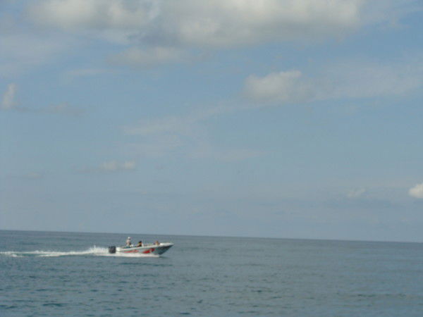 Елена Ющишина