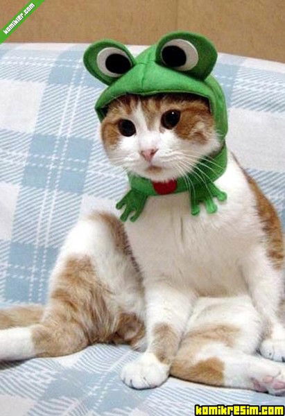 Евгений Макаренков