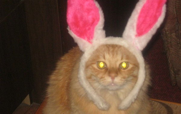 Надежда Беликова