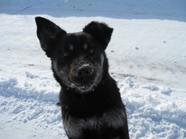 Ася Сухареваа