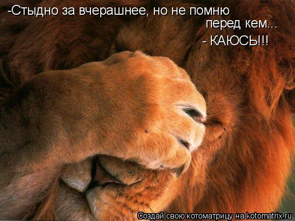 Геннадий Суржиков