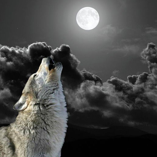 Саня Я Номер 1 Не Победим