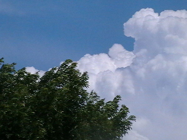 Ярослав Скукин