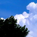 Ярослав Скукин