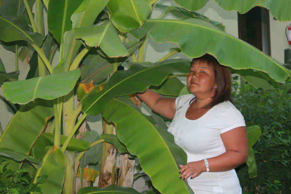 Айслу Айслу