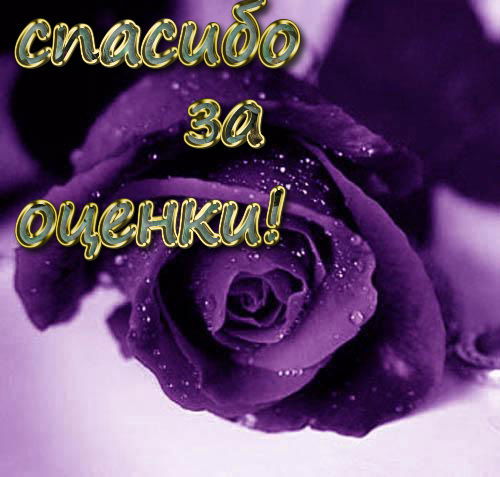 Ангелина Проданюк