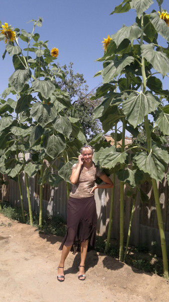 Ирина Высоцкая