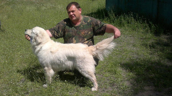 Евгений Проценко