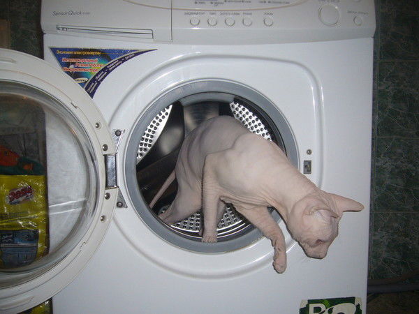 Александр Езерский