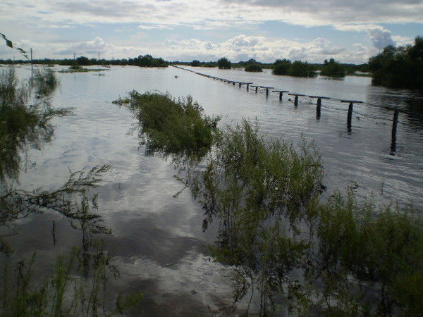 Александр Золотухин