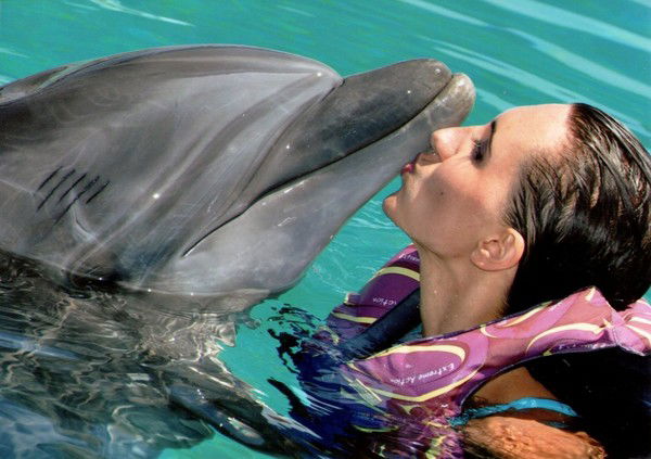 Елена Лысенко