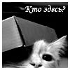 Светлана Ковалева