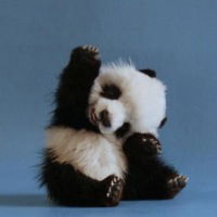 Геннадий Захаренков