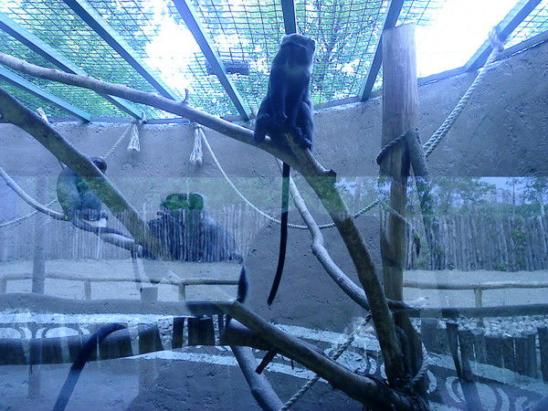 ***виктория*** ********