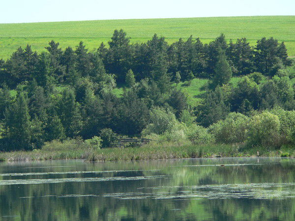 Ярослав Сошик