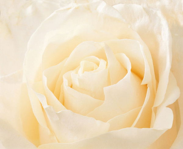 Нина Турова