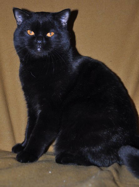 Лариса Людвиг