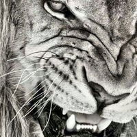 Нурбек Бахтыбеков