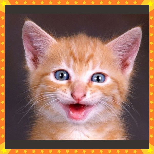 Оксана Солдаева