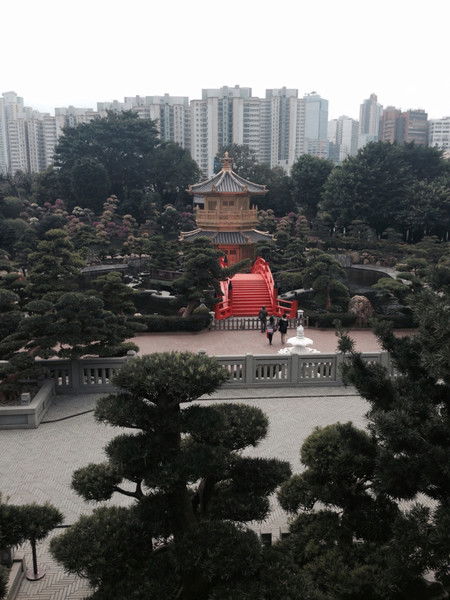 Алексей Дмитренко