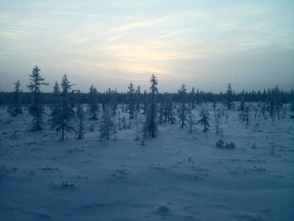 Андрей Черепанов