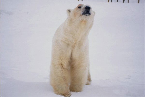 Серёга Седачев