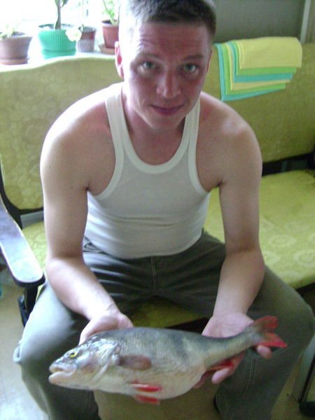 Алексей Дорошенко