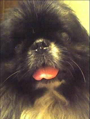 Владимир Суворов