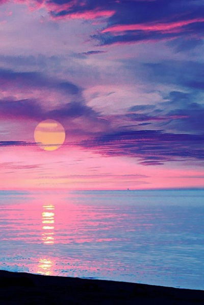 Александр Савенко