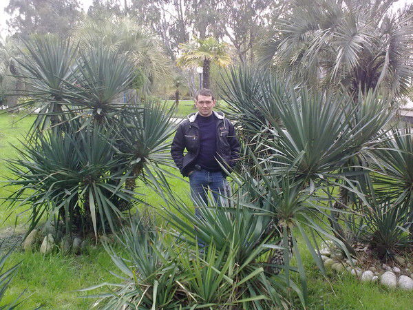 Алексей Ступин