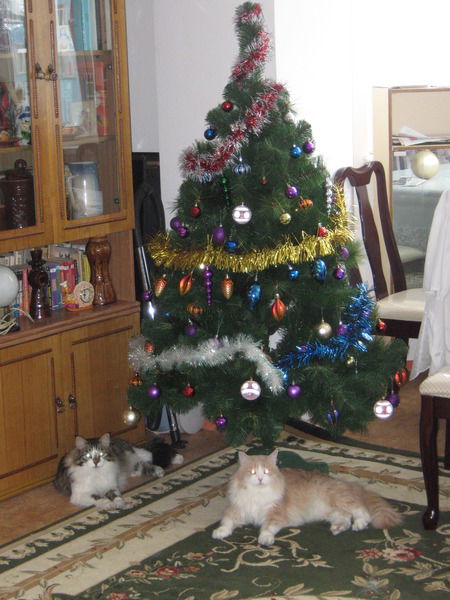 Валерий Козлов