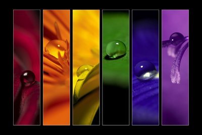 Людмила Казначеева