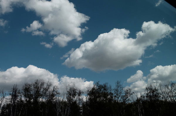 Валерий Косов