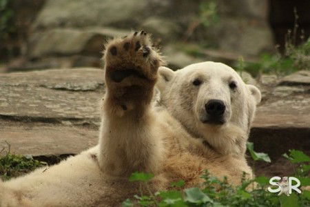 Сергей Кузнецов