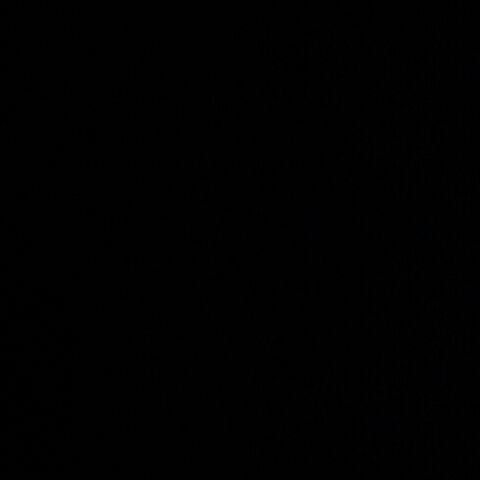 Александра Решетняк