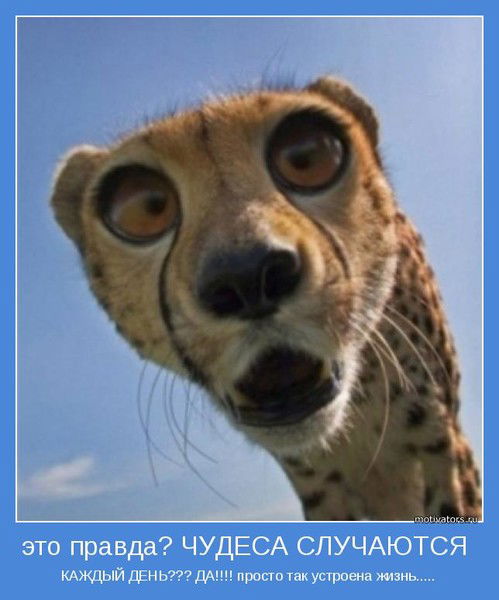 Сидоров Артем