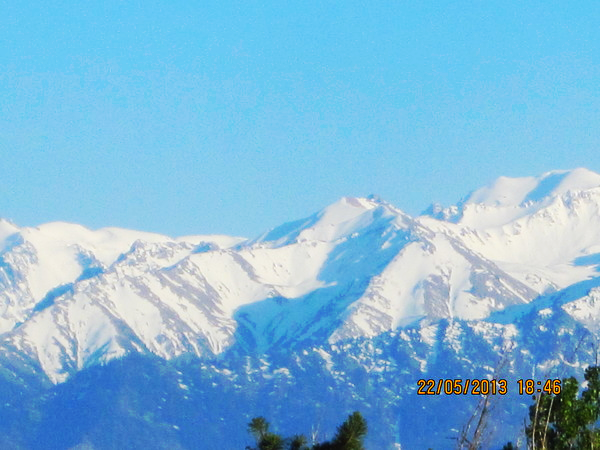 Виктор Мурашкин