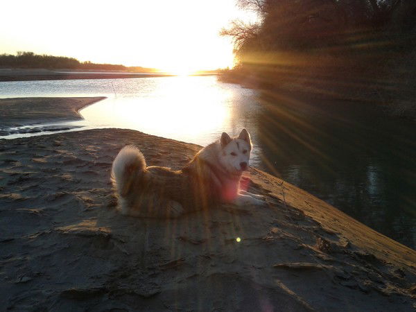 Промышленное Подразделение