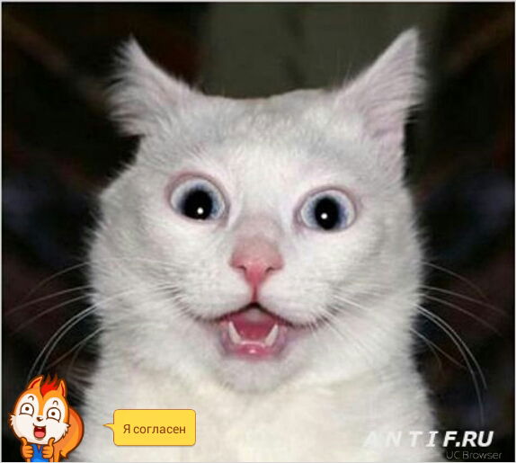 Дониер Камилов