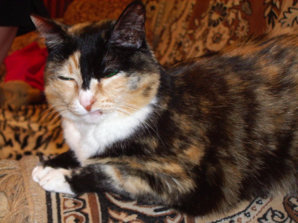 Инесса Маматова