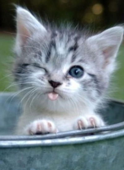 Ольга Попова