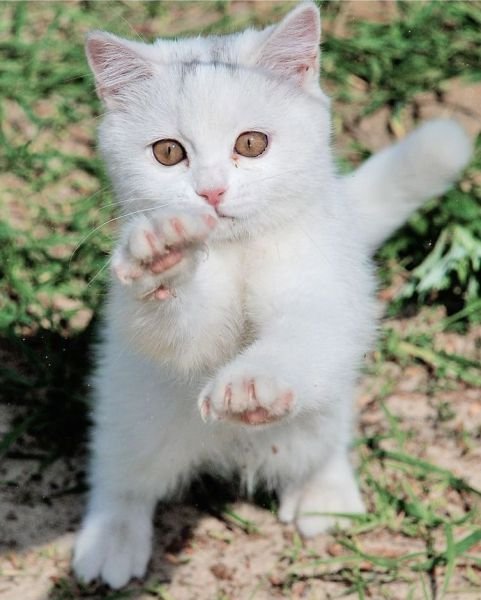 Марина Щербакова